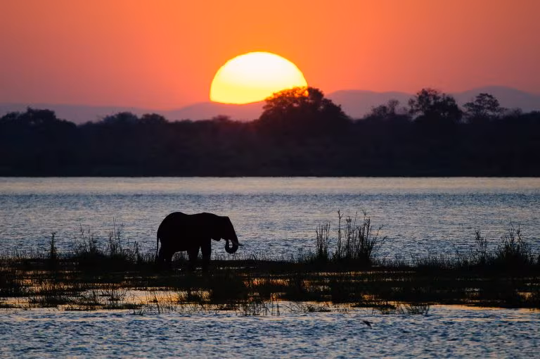 Zimbabwe