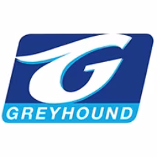 Greyhound